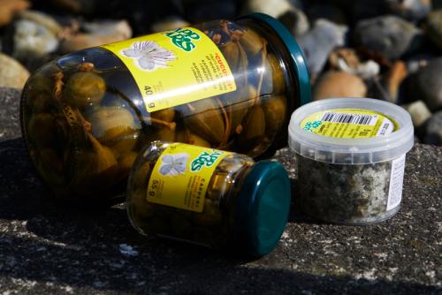 >En gastronomisk universalnøgle